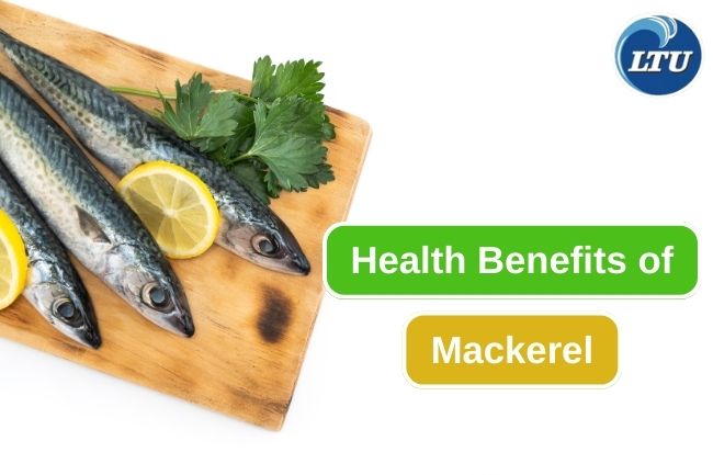 The 9 Best Benefits of Eating Mackerel